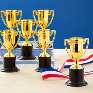 Trophies & Awards